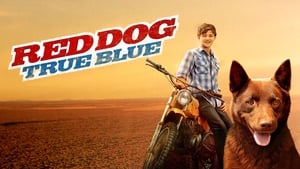 Red Dog: True Bluescreenshot 2