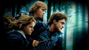 Harry Potter and the Deathly Hallows: Part 1screenshot 2