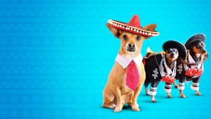 Beverly Hills Chihuahua 3screenshot 3