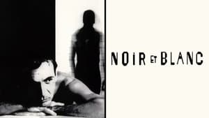 Noir et blancscreenshot 2