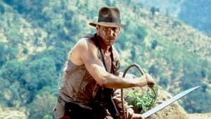 Indiana Jones: The Search for the Lost Golden Agescreenshot 5