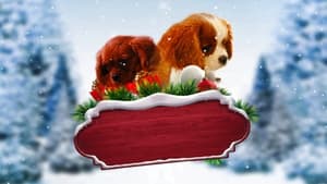 Project: Puppies for Christmasscreenshot 1