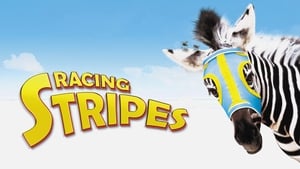 Racing Stripesscreenshot 3