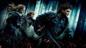 Harry Potter and the Deathly Hallows: Part 1screenshot 1