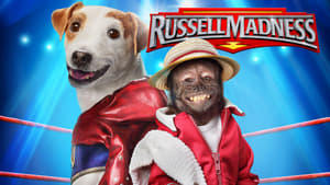 Russell Madnessscreenshot 1