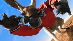 Kangaroo Jackscreenshot 3