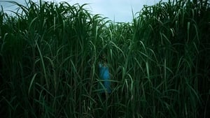 In the Tall Grassscreenshot 2