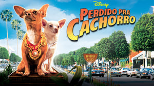 Beverly Hills Chihuahuascreenshot 3