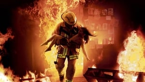 Ladder 49screenshot 1