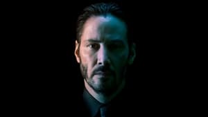 John Wickscreenshot 3