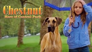 Chestnut: Hero of Central Parkscreenshot 4