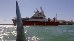 Shark Attack 2screenshot 1