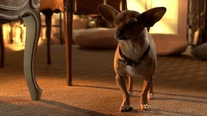 Beverly Hills Chihuahua 3screenshot 2