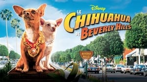 Beverly Hills Chihuahuascreenshot 2