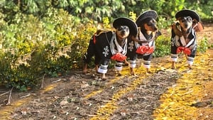 Beverly Hills Chihuahua 3screenshot 5