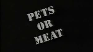 Pets or Meat: The Return to Flintscreenshot 2