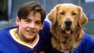 Air Bud: Golden Receiverscreenshot 2