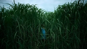 In the Tall Grassscreenshot 1