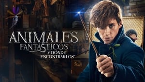 Fantastic Beasts and Where to Find Themscreenshot 5