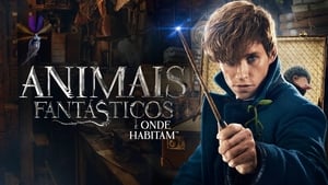 Fantastic Beasts and Where to Find Themscreenshot 4