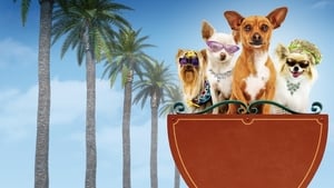 Beverly Hills Chihuahuascreenshot 1