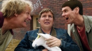 Dumb and Dumber Toscreenshot 2