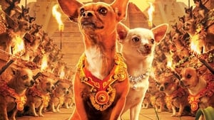 Beverly Hills Chihuahuascreenshot 4