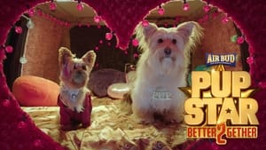 Pup Star: Better 2Getherscreenshot 3