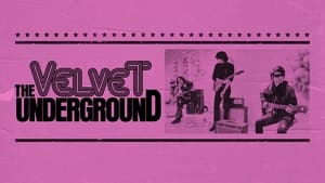 The Velvet Undergroundscreenshot 2