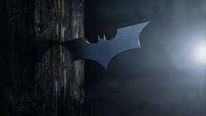 Batman Beginsscreenshot 3