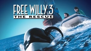 Free Willy 3: The Rescuescreenshot 3