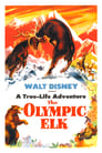 The Olympic Elk