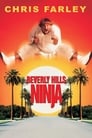 Beverly Hills Ninja