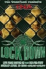 TNA Lockdown 2008