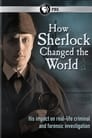 How Sherlock Changed the World