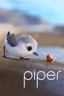 Piper