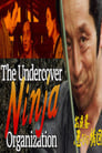 The Undercover Ninja Organization