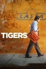 Tigers