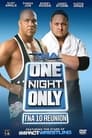 TNA One Night Only: 10 Reunion 2013