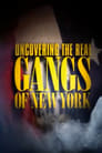 Uncovering the Real Gangs of New York