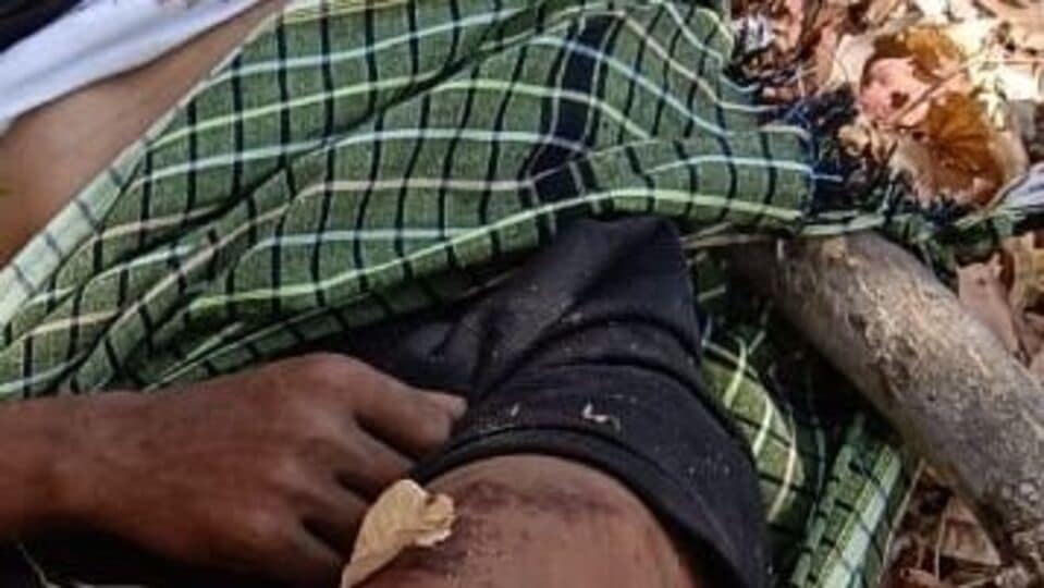 Mulugu Agency area 1742572304792 1742573082375